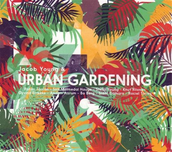 Jacob Young-urban Gardening - LP - Música - COAST - 7071750180277 - 22 de fevereiro de 2019