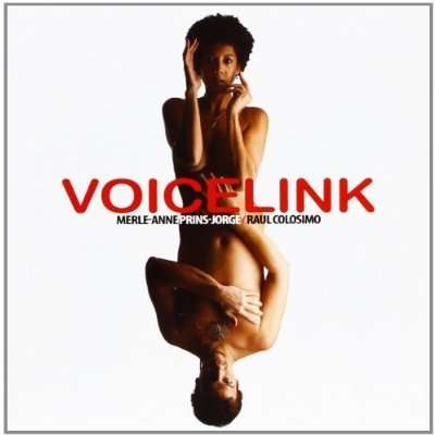 Cover for Colosimo Raul Prins-jorge Merle-anne · Voicelink (CD) (2011)