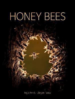 Cover for Jurgen Tautz · Honey Bees (Gebundenes Buch) (2021)