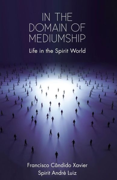 In the Domain of Mediumship: Life in the Spirit World - Francisco Cândido Xavier - Książki - Spiritist Group of New York - 9780974233277 - 10 stycznia 2013