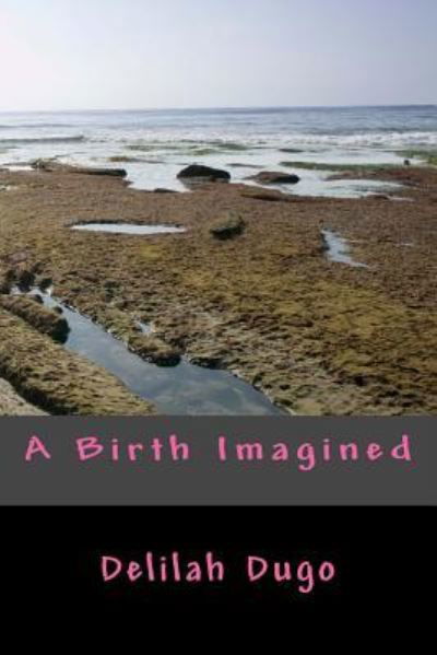 Cover for Delilah Dugo · A Birth Imagined (Pocketbok) (2017)