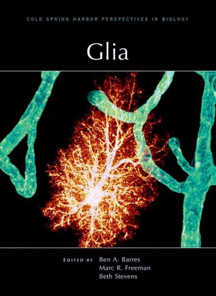 Glia - Ben A Barres - Böcker - Cold Spring Harbor Laboratory Press,U.S. - 9781621820277 - 30 november 2014