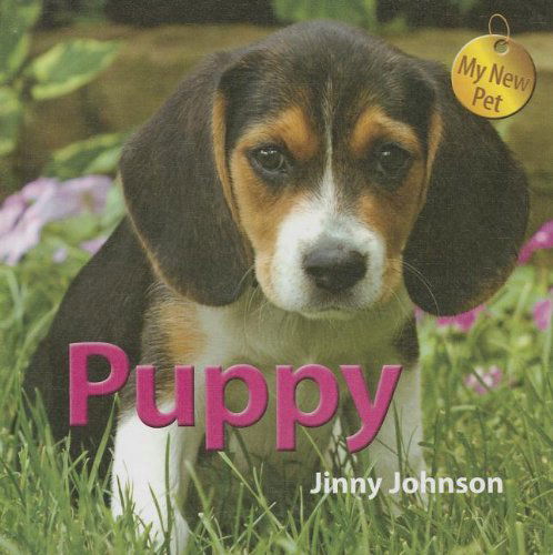 Cover for Jinny Johnson · Puppy (My New Pet) (Hardcover Book) (2014)
