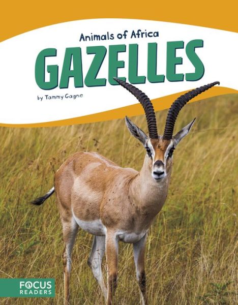 Cover for Tammy Gagne · Animals of Africa: Gazelles (Paperback Book) (2017)