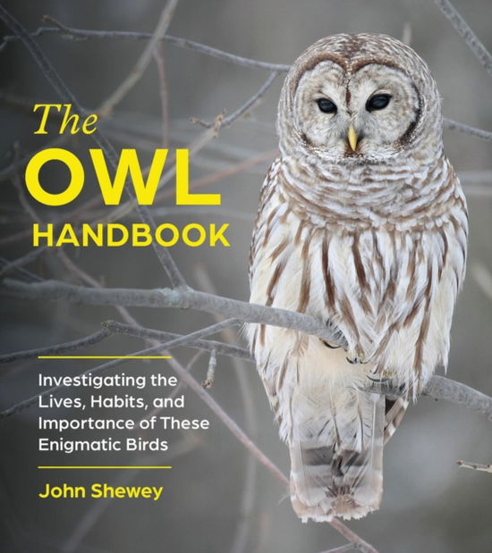 Cover for John Shewey · The Owl Handbook: Investigating the Lives, Habits, and Importance of These Enigmatic Birds (Paperback Book) (2025)