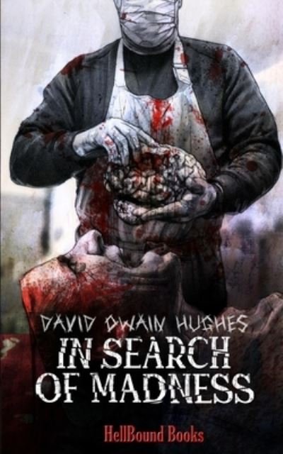 Cover for David Owain Hughes · In Search of Madness (Paperback Book) (2021)
