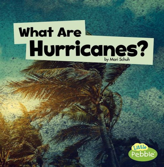 Cover for Mari Schuh · What Are Hurricanes? (Gebundenes Buch) (2019)