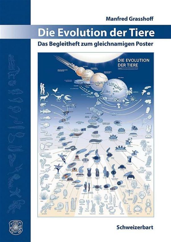 Die Evolution der Tiere,m.Pos - Grasshoff - Libros -  - 9783510654277 - 
