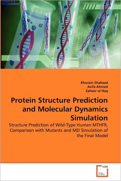 Cover for Zaheer Ul Haq · Protein Structure Prediction and Molecular Dynamics Simulation: Structure Prediction of Wild-type Human Mthfr, Comparison with Mutants and Md Simulation of the Final Model (Paperback Book) (2010)