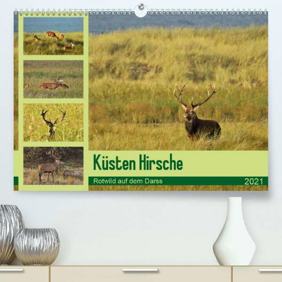 Cover for Schaack · Küsten Hirsche - Rotwild auf de (Book)