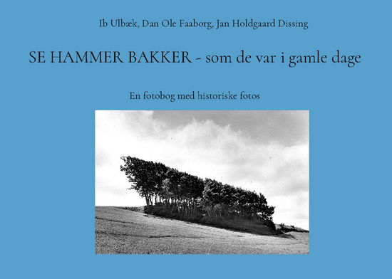 Se Hammer Bakker - som de var i gamle dage - Ib Ulbæk; Dan Ole Faaborg; Jan Holdgaard Dissing - Books - BoD - Books on Demand - 9788743057277 - August 1, 2024