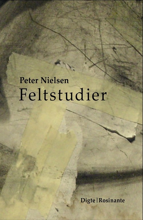 Cover for Peter Nielsen · Feltstudier (Sewn Spine Book) [1º edição] (2013)