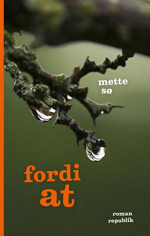 Cover for Mette Sø · Fordi at (Sewn Spine Book) [1st edition] (2015)