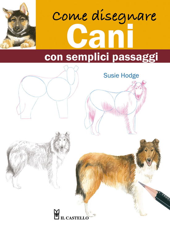 Cover for Susie Hodge · Come Disegnare Cani Con Semplici Passaggi (Bog)