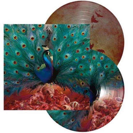 Cover for Opeth · Sorceress 2lp Picture Vinyl (LP) [Picture Disc edition] (2016)