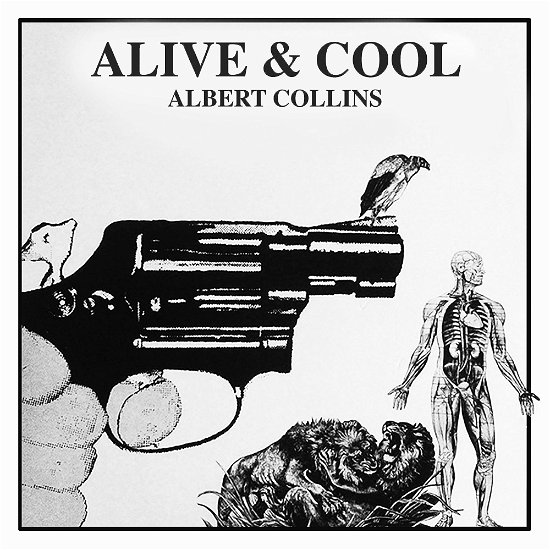 Alive & Cool - Albert Collins - Music -  - 0730167342278 - July 7, 2023