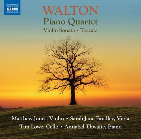 Cover for W. Walton · Piano Quartet / Violin Sonata / Toccata (CD) (2020)