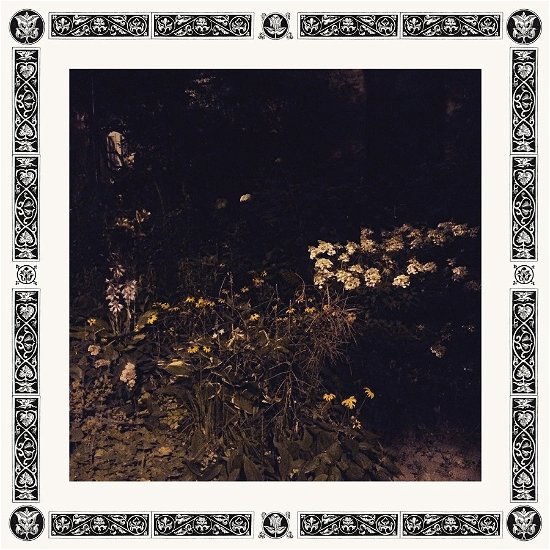 Cover for Sarah Davachi · Pale Bloom (CD) (2019)
