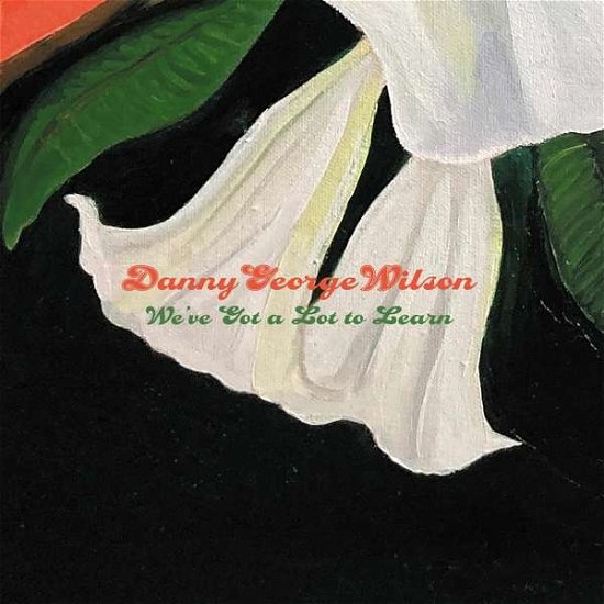 We've Got a Lot to Learn - Danny George Wilson - Music - LOOSE - 5029432013278 - October 1, 2021