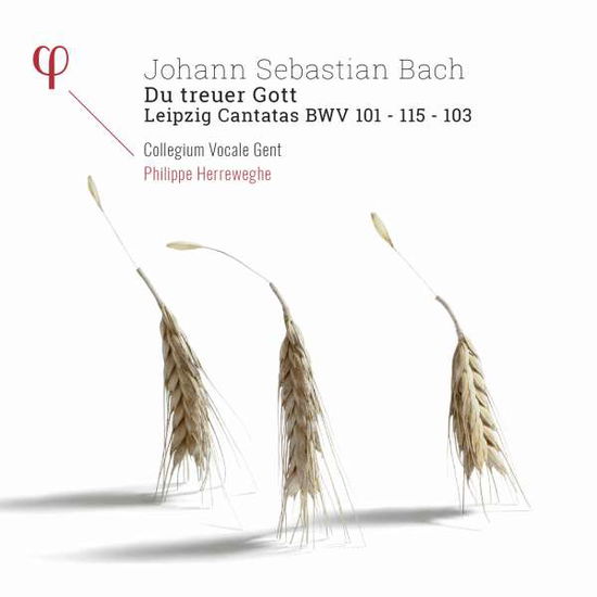 J.S. Bach: Du Treuer Gott - Leipzig Cantatas Bwv 101 - 103 - 115 - Collegium Vocale Gent / Philippe Herreweghe - Música - PHI - 5400439000278 - 20 de outubro de 2017