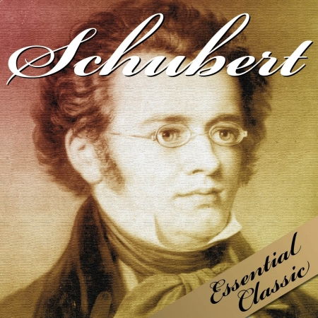 Cover for Franz Schubert · Schubert Essential Classic (CD)