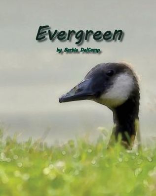 Cover for Barbie DelCamp · Evergreen (Paperback Book) (2015)