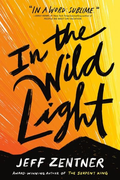 Cover for Jeff Zentner · In the Wild Light (Paperback Bog) (2022)