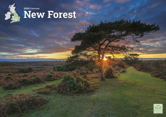 New Forest A4 Calendar 2025 - Carousel Calendars - Książki - Carousel Calendars - 9781529840278 - 3 maja 2024