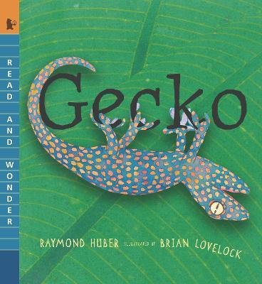 Cover for Raymond Huber · Gecko (Paperback Book) (2023)