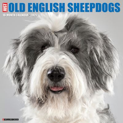 Cover for Willow Creek Press · Just Old English Sheepdogs 2025 12 X 12 Wall Calendar (Calendar) (2024)