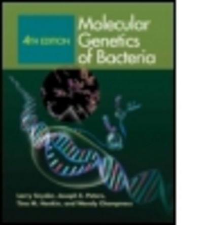 Cover for Larry Snyder · Molecular Genetics of Bacteria (Book) [4 New edition] (2013)