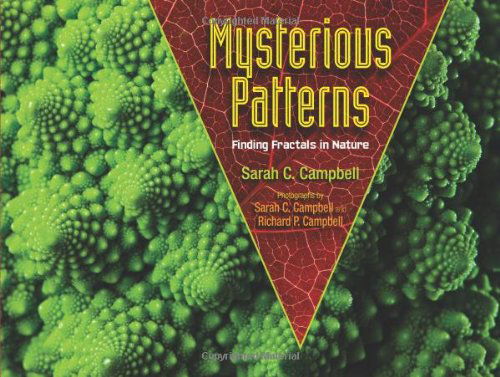 Cover for Sarah C. Campbell · Mysterious Patterns: Finding Fractals in Nature (Hardcover Book) [Sew edition] (2014)