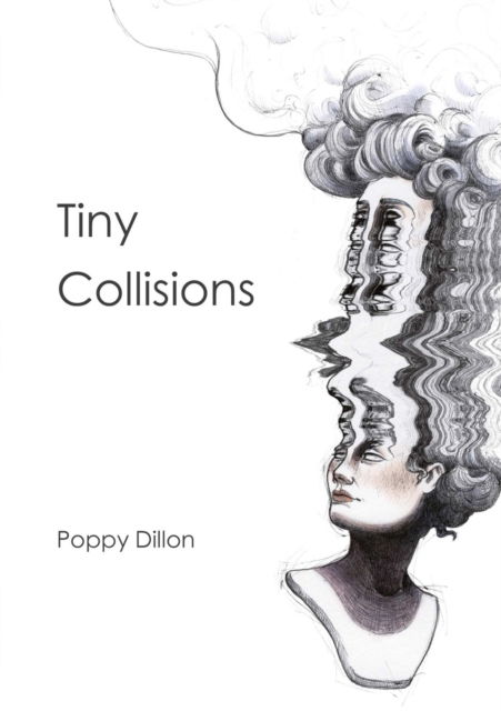 Cover for Poppy Dillon · Tiny Collisions (Paperback Book) (2020)