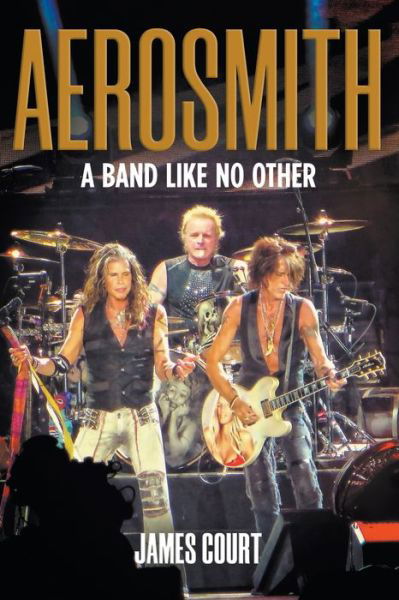 AEROSMITH: A Band Like No Other - James Court - Books - New Haven Publishing Ltd - 9781912587278 - November 15, 2019
