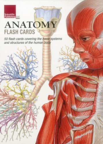 Cover for Scientific Publishing · Anatomy Flash Cards (Flashcards) [1 Flc Crds edition] (2013)