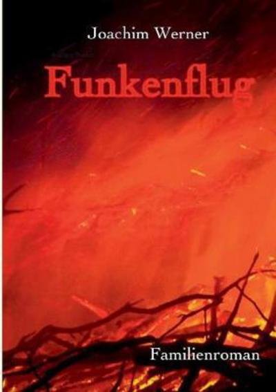 Cover for Werner · Funkenflug (Bog) (2017)