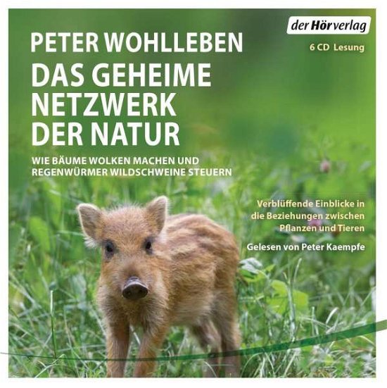 Cover for Wohlleben · Das geheime Netzwerk der Natu (Book)