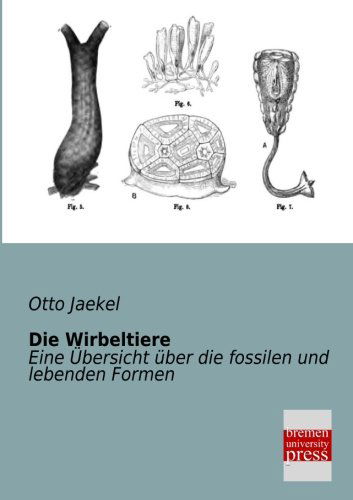 Die Wirbeltiere: Eine Uebersicht Ueber Die Fossilen Und Lebenden Formen - Otto Jaeckel - Books - Bremen University Press - 9783955621278 - January 16, 2013