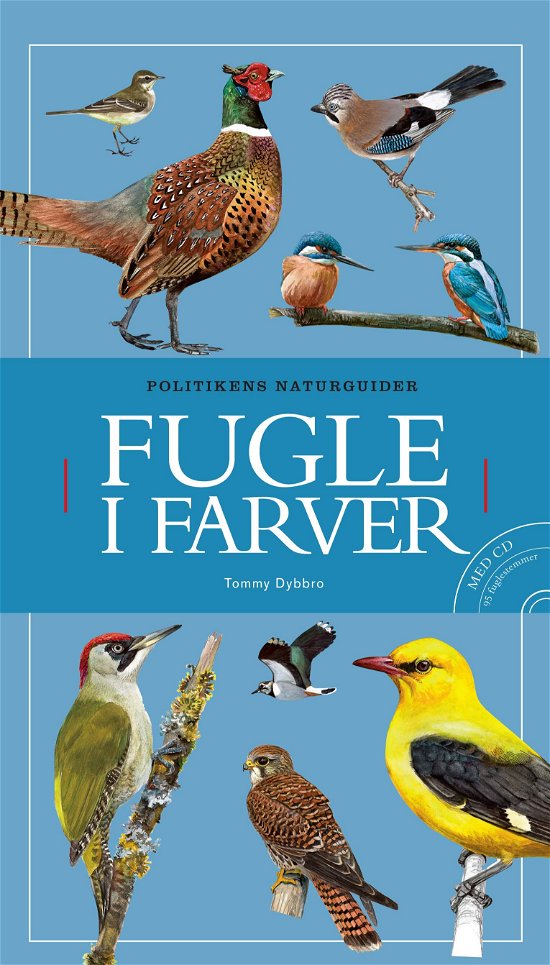Cover for Tommy Dybbro · Fugle i farver inkl. cd (Sewn Spine Book) [17th edition] (2020)