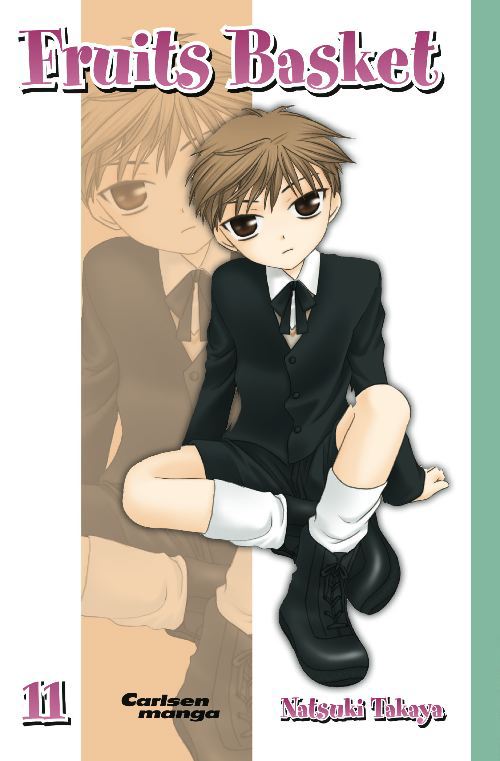 Cover for Natsuki Takaya · Fruits Basket: Fruits Basket 11 (Pocketbok) [1:a utgåva] (2010)