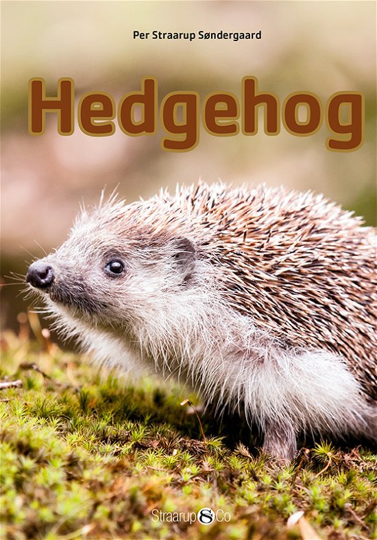 Cover for Per Straarup Søndergaard · Mini English: Hedgehog (Hardcover Book) [1st edition] (2017)