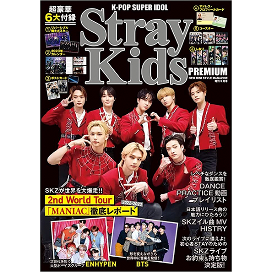 Cover for Stray Kids · K-POP SUPER IDOL Stray Kids PREMIUM 2023.05 (Magazine) [LIMITED edition] (2023)