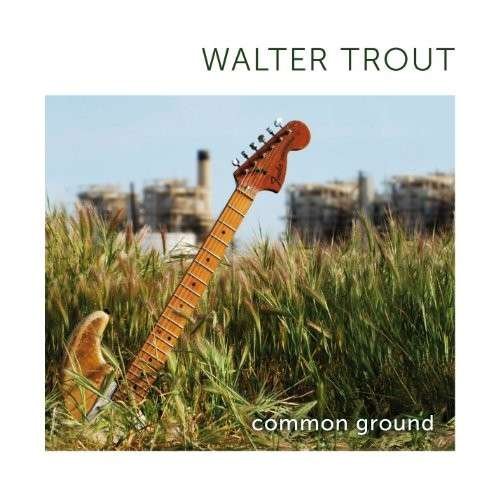 Cover for Walter Trout · Common Ground (CD) (2010)
