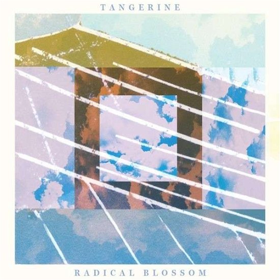 Cover for Tangerine · Radical Blossom (CD) (2013)