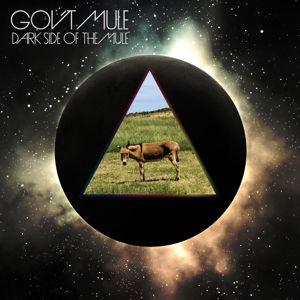 Cover for Gov't Mule · Dark Side of the Mule (LP) (2015)