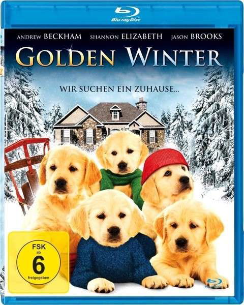 Golden Winter - V/A - Film - DELTA - 4049774841279 - 1. oktober 2013