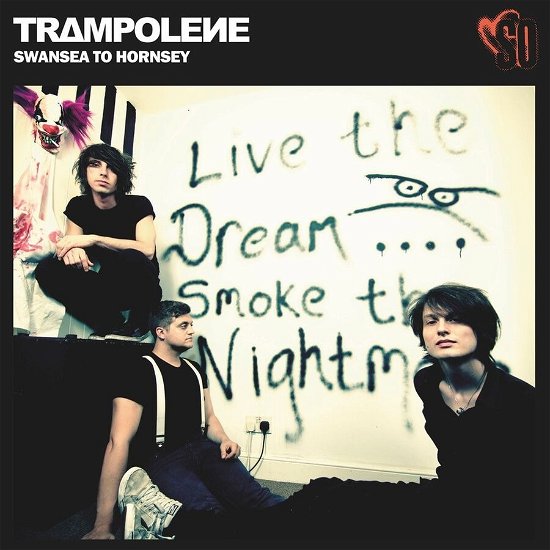 Cover for Trampolene · Swansea To Hornsey (LP) [Anniversary edition] (2023)