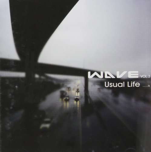 Usual Life - Wave - Muziek -  - 8809046081279 - 2011