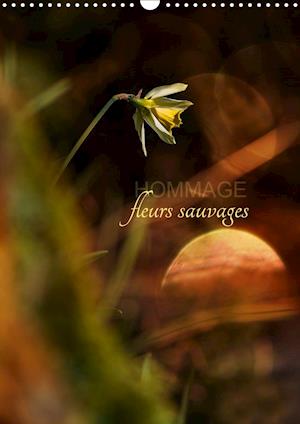 Cover for Gans · Hommage fleurs sauvages (Calendrie (Book)