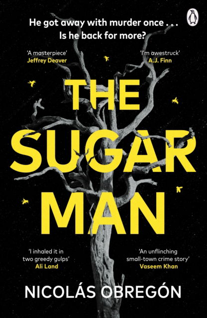 Cover for Nicolas Obregon · The Sugar Man (Paperback Book) (2025)